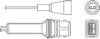 BERU OZH044 Lambda Sensor